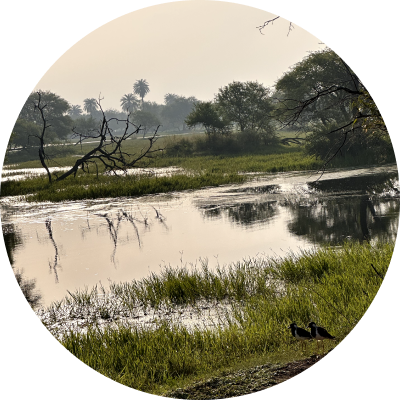 Bhartapur city tour